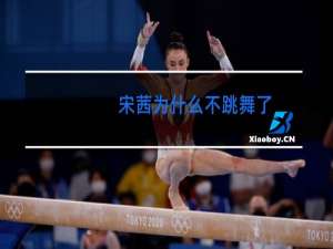 宋茜为什么不跳舞了