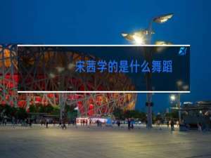 宋茜学的是什么舞蹈
