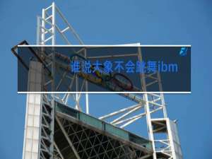 谁说大象不会跳舞ibm