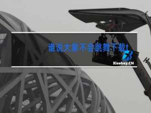 谁说大象不会跳舞下载txt