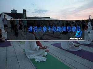 谁说大象不能跳舞思维导图