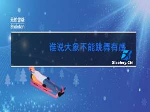 谁说大象不能跳舞有感