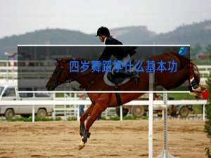 四岁舞蹈学什么基本功