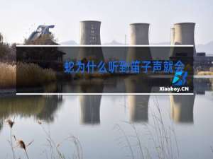 蛇为什么听到笛子声就会跳舞