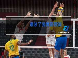 谁咬了我舞蹈歌词