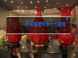 沈阳哪里有学少儿街舞