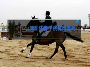 沈阳体育学院有街舞吗