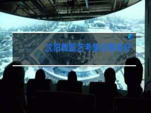 沈阳舞蹈艺考集训哪家好