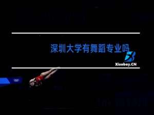 深圳大学有舞蹈专业吗