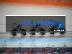 四种花是怎样跳舞狂欢的