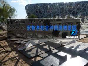 宋智孝和金钟国跳舞是哪一期