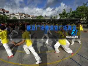 糖豆广场舞课堂广场舞谁32步教学