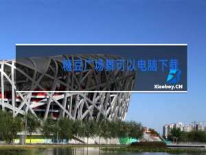 糖豆广场舞可以电脑下载吗