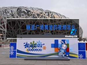 糖豆广场舞里的视频怎么下载