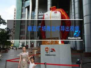 糖豆广场舞如何导出视频