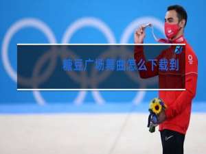 糖豆广场舞曲怎么下载到u盘