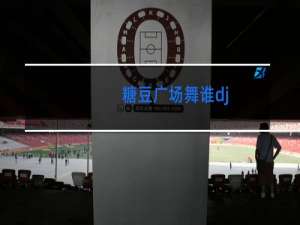 糖豆广场舞谁dj