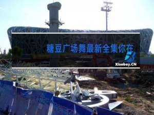 糖豆广场舞最新全集你在他乡还好吗