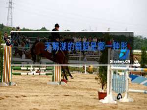 天鹅湖的舞蹈是哪一种形式