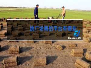 跳广场舞的平台有哪些