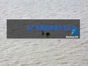 跳广场舞的声音大怎么办