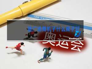 跳广场舞机子什么牌子好