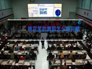 桃花笑的舞蹈怎么跳完整的舞蹈