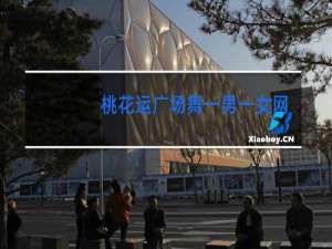 桃花运广场舞一男一女网红是哪个