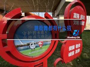 跳街舞都有什么招