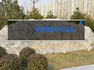 跳街舞留什么发型