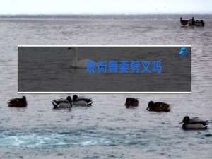 跳街舞要劈叉吗