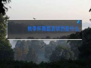 桃李杯舞蹈浪讲的是什么