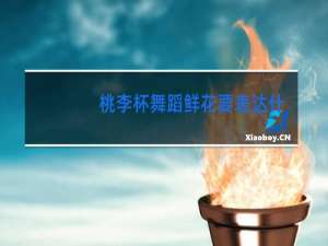 桃李杯舞蹈鲜花要表达什么