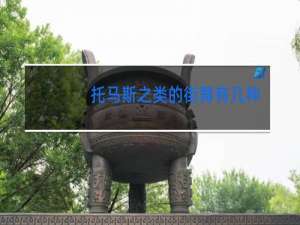 托马斯之类的街舞有几种
