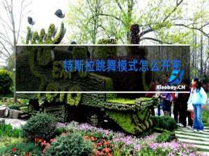 特斯拉跳舞模式怎么开密码