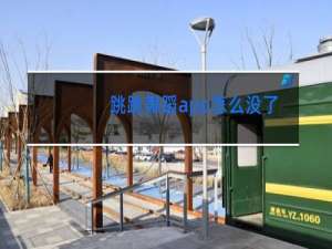 跳跳舞蹈app怎么没了