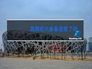 跳舞吧大象春夏瘦了吗