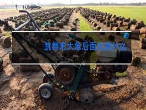 跳舞吧大象后面比赛什么歌