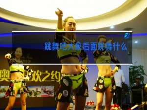 跳舞吧大象后面跳舞什么歌