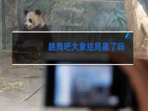 跳舞吧大象结局赢了吗