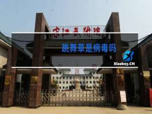 跳舞草是病毒吗