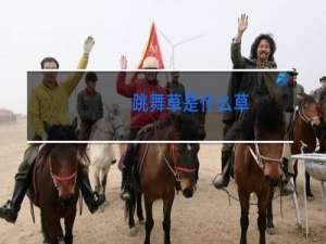 跳舞草是什么草