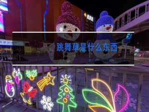 跳舞草是什么东西