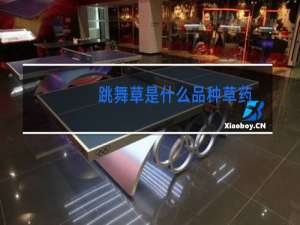跳舞草是什么品种草药