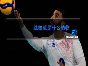 跳舞草是什么植物