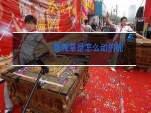 跳舞草是怎么动的呢