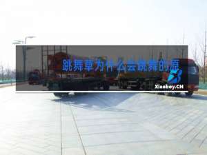 跳舞草为什么会跳舞的原因