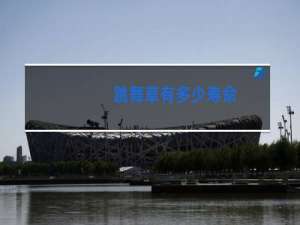 跳舞草有多少寿命