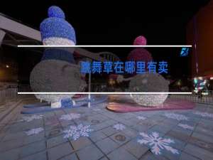 跳舞草在哪里有卖