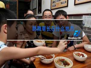跳舞草长在什么地方